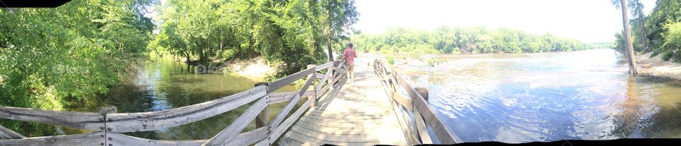 Wood, Nature, Summer, Tree, Bridge