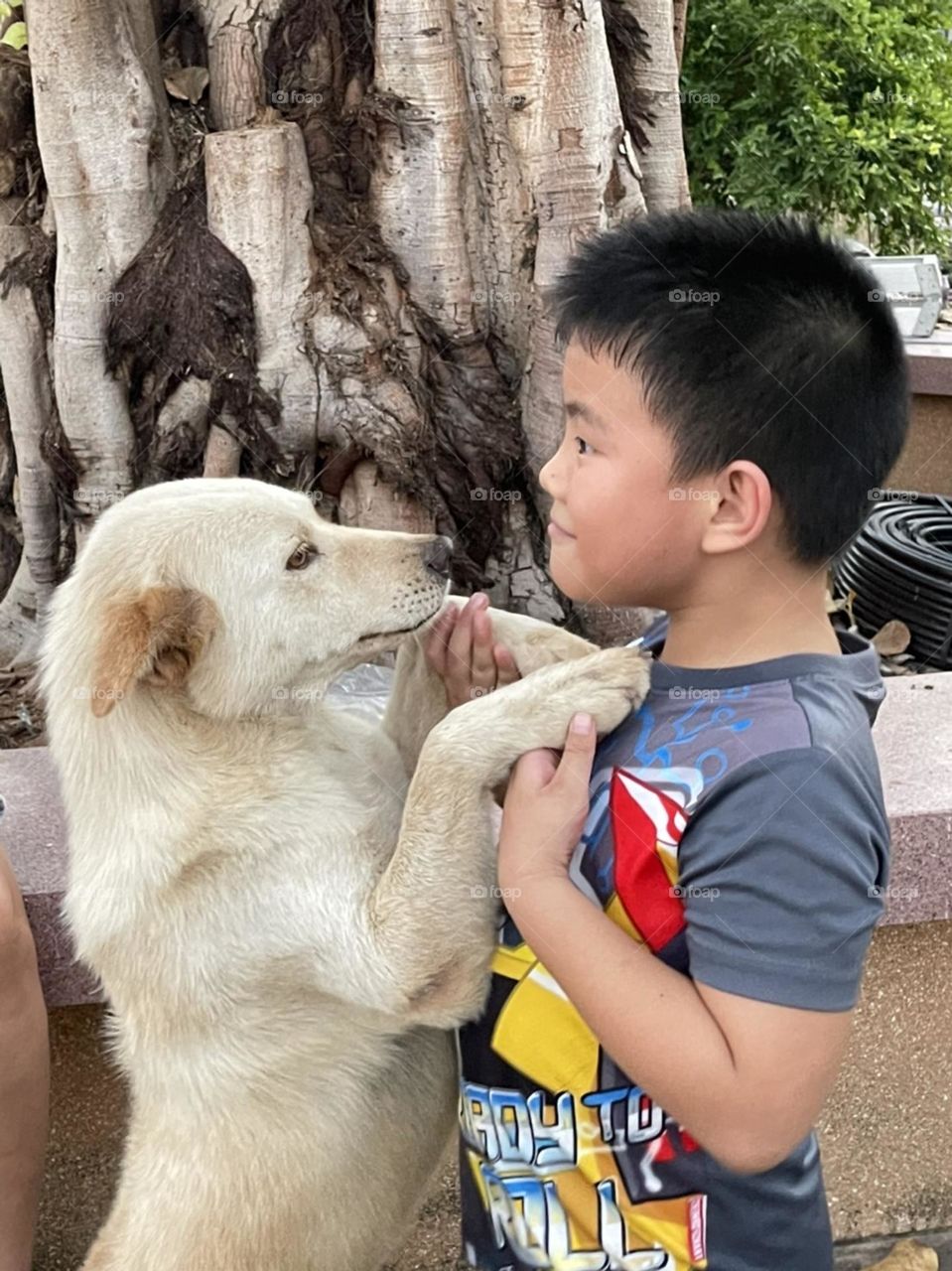 Giving mission: Man’s Best Friend, Countryside(Thailand)