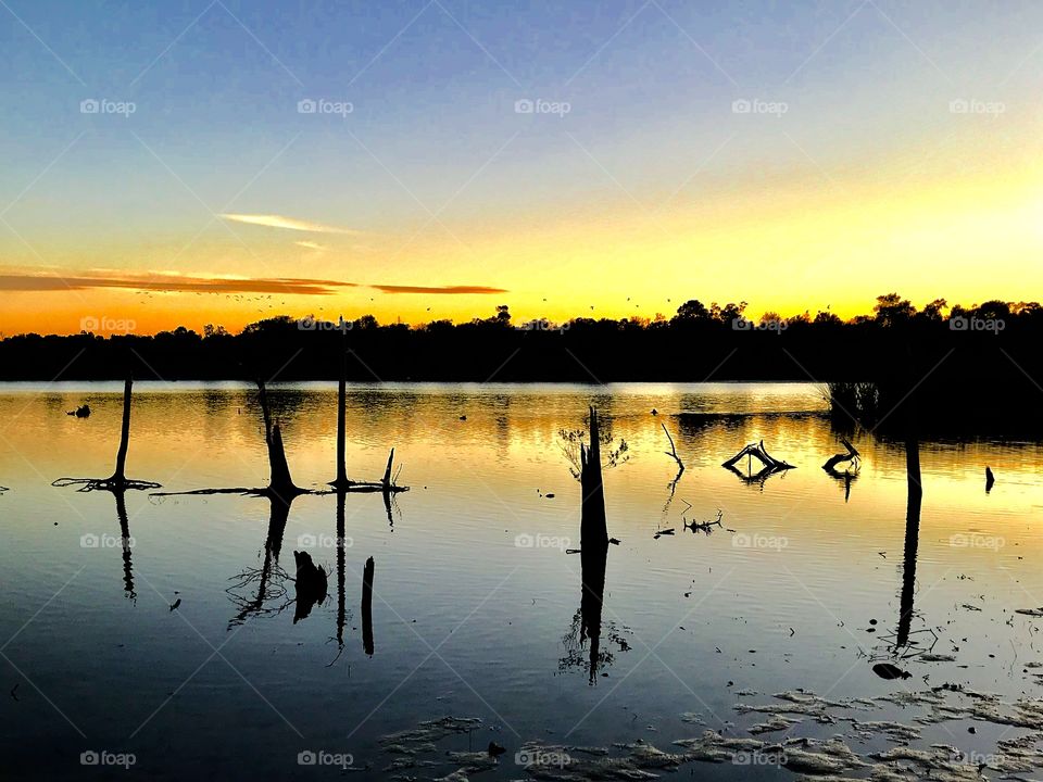 Bayou sunset 