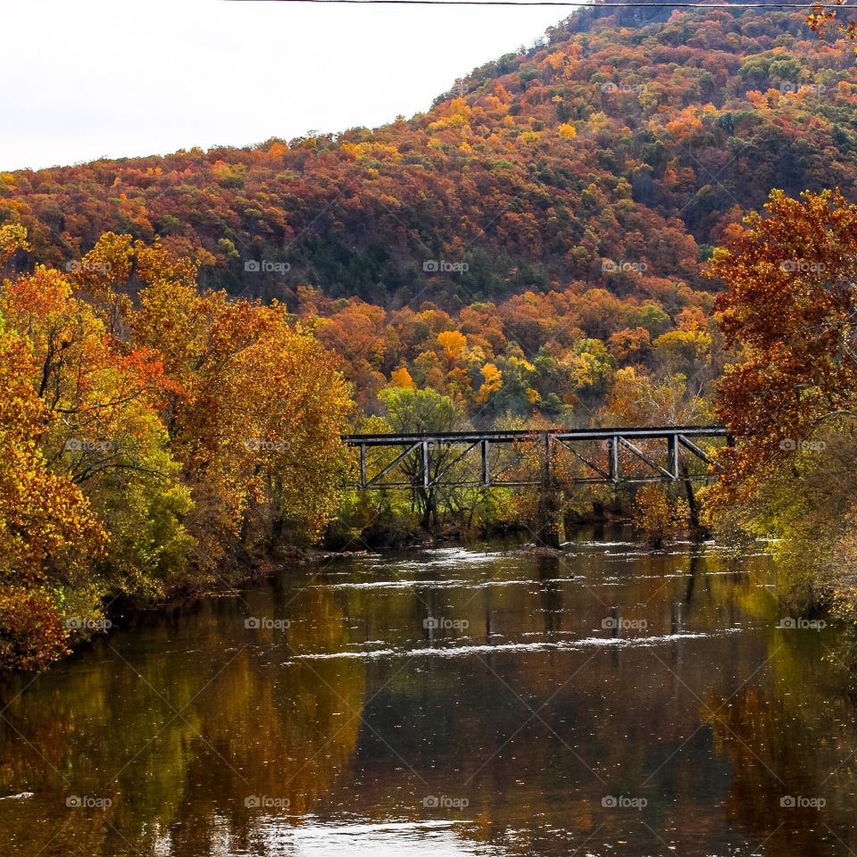 Train Trestle in Autumn