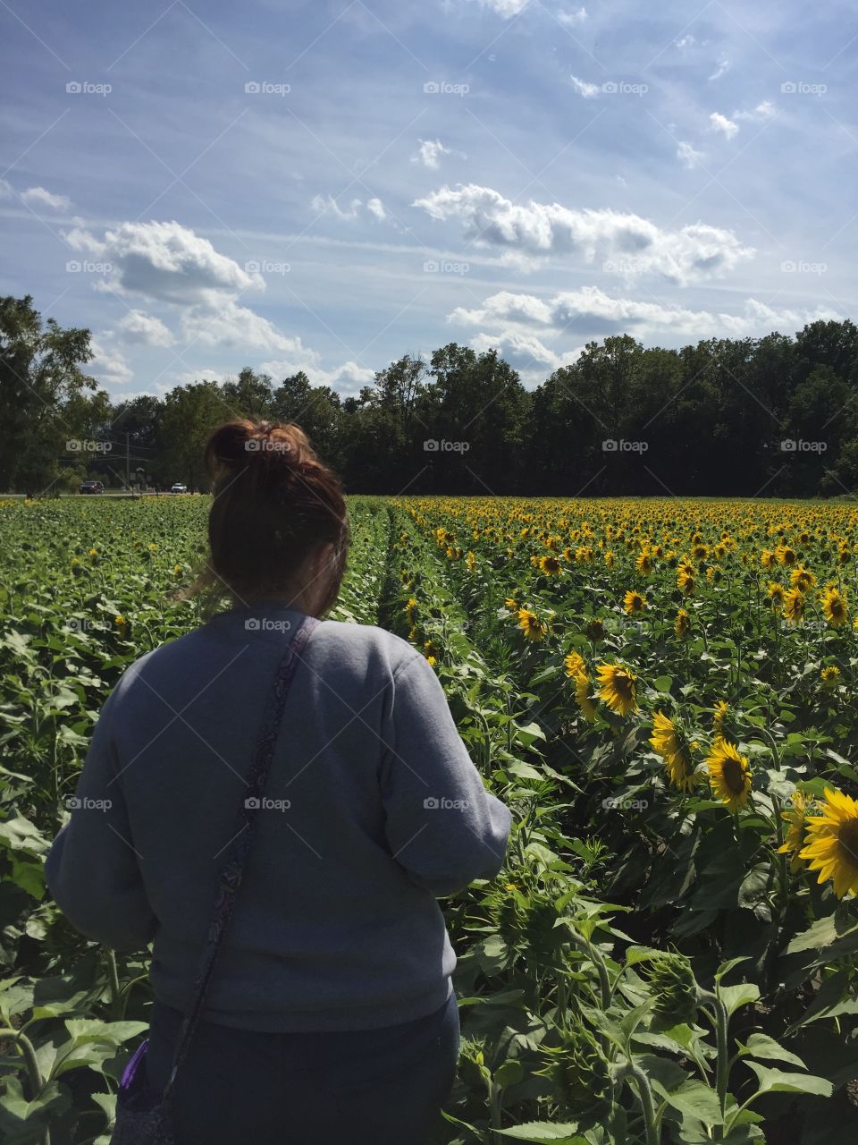I brought my girlfriend to a gorgeous sunflower field 