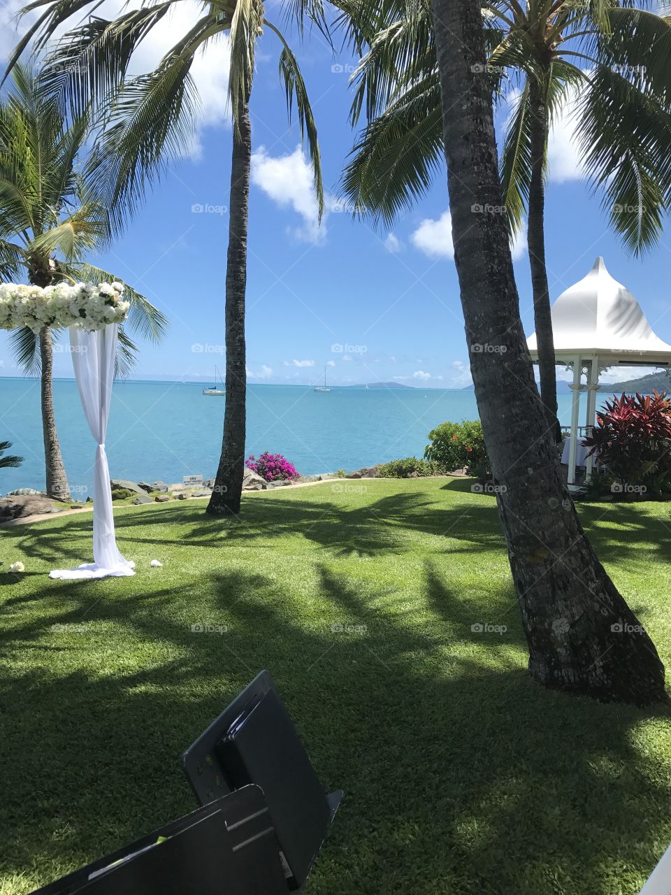 The beautiful Airlie Beach, Australia. This was prior to a wedding performance with my string quartet. Such a beautiful day. 