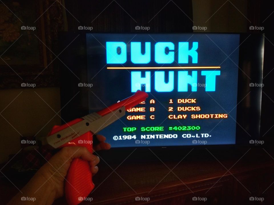 Duck Hunt Start