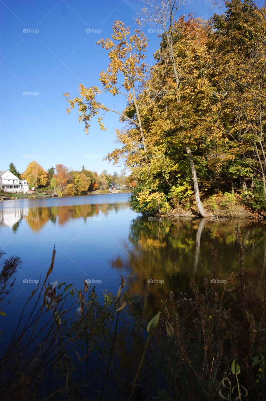 Michigan fall reflections 