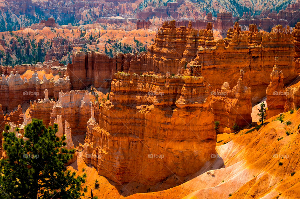 Bryce Canyon 4