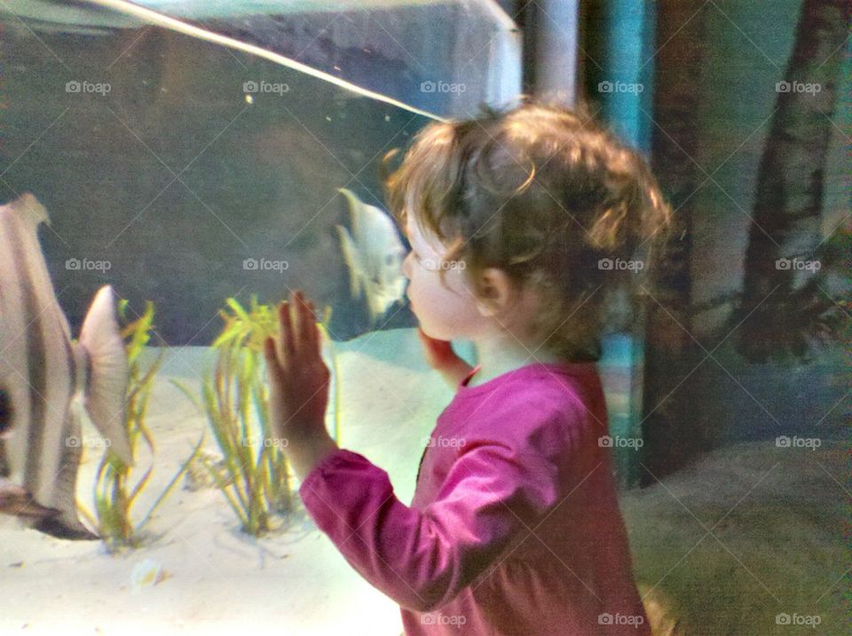 Girl observing fish