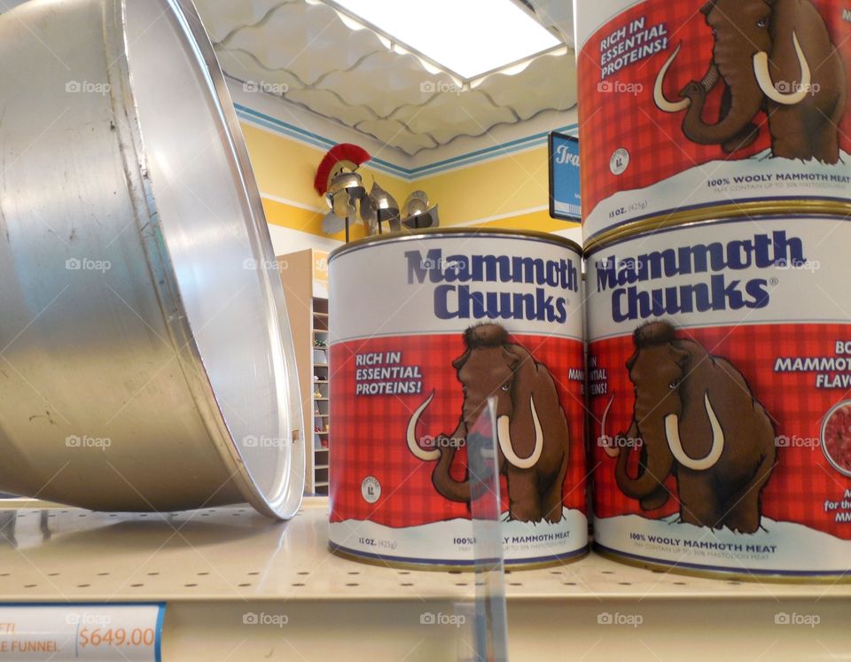 Mammal chunks . Time travel museum 