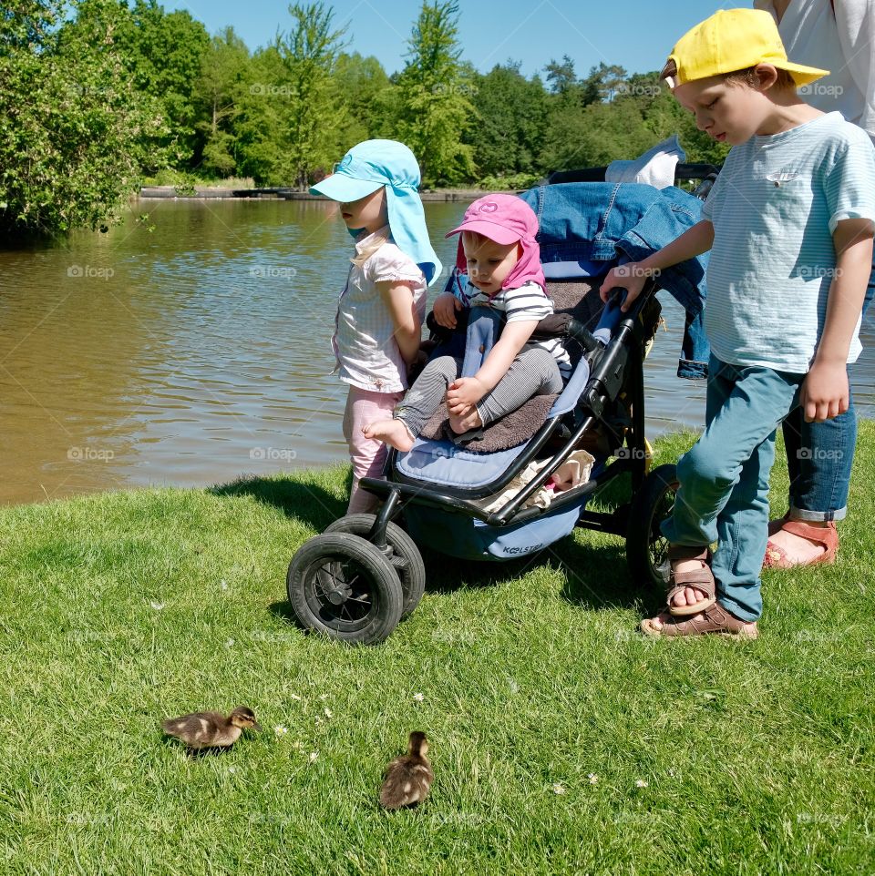 Children and ducklings in the park by the pond  Hamburg Germany