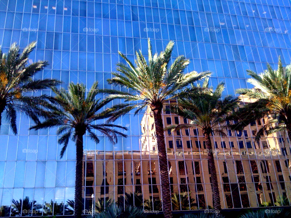 building architecture reflection florida by jmsilva59