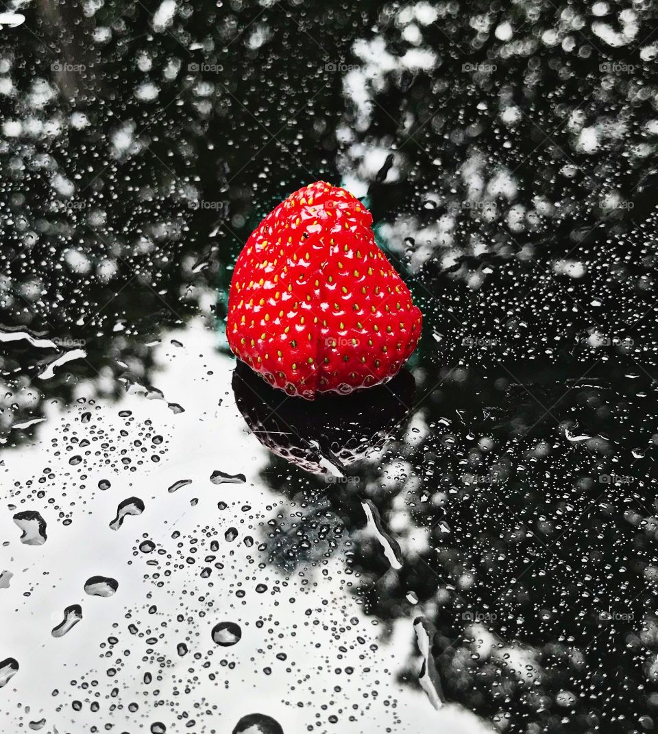 The Freshest Strawberry