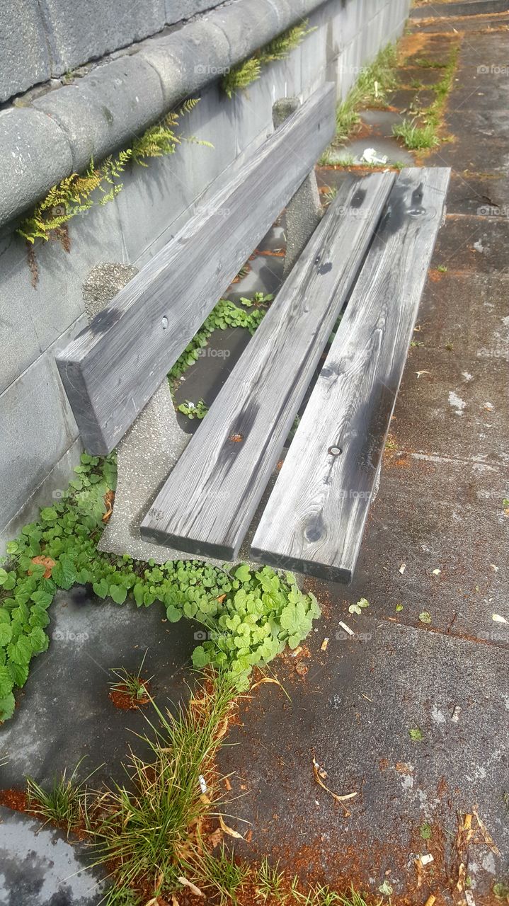 Old bench