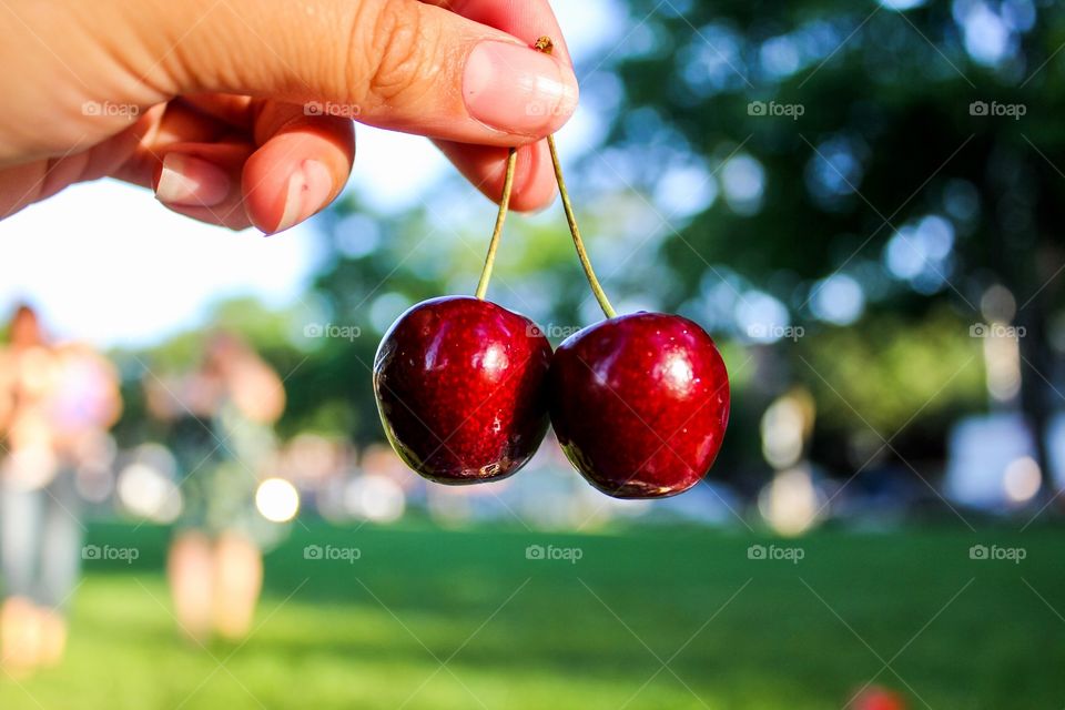 Cherries 