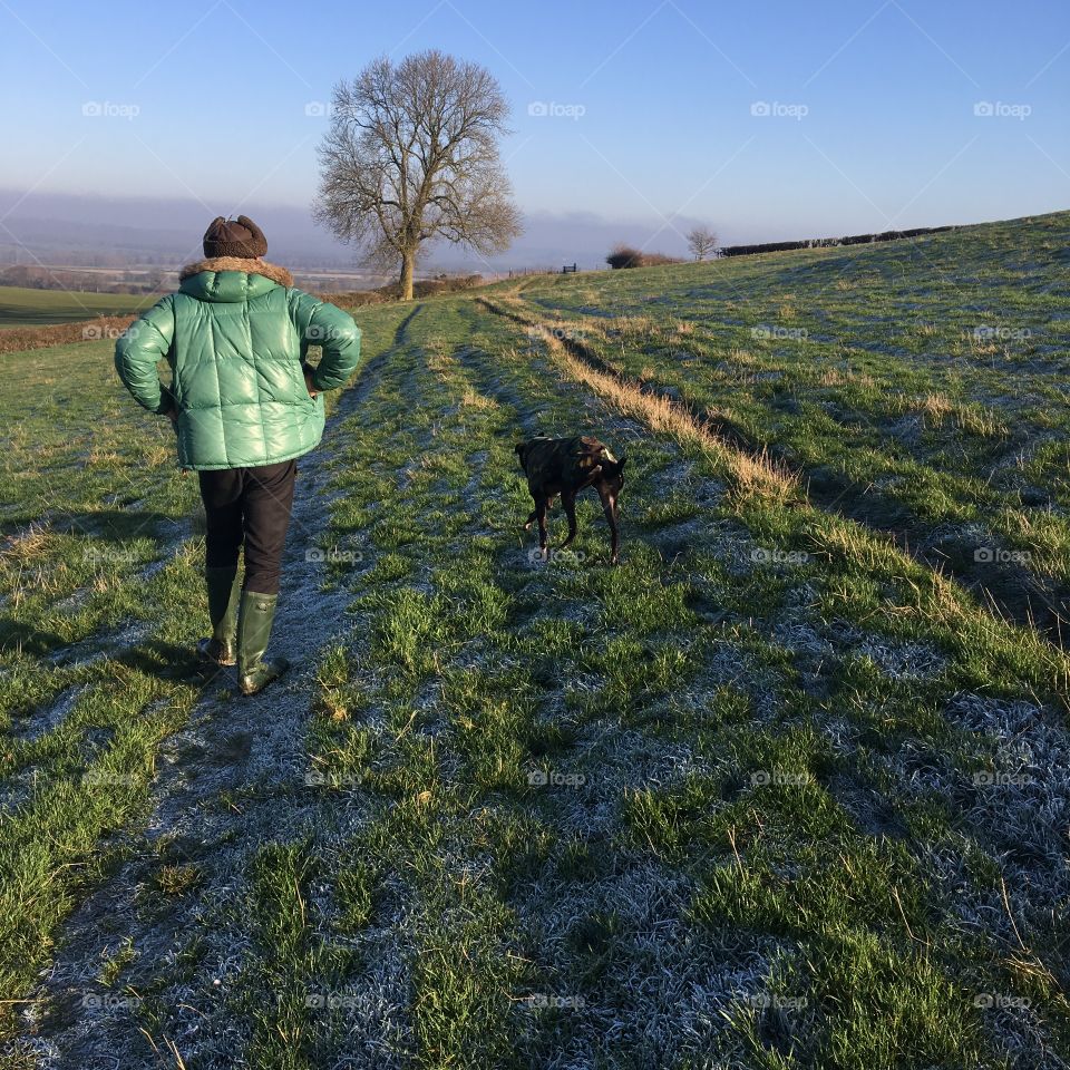 Country Walks in Winter