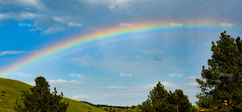 North Dakota Rainbow