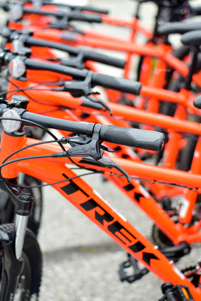 Symmetry. Orange bikes