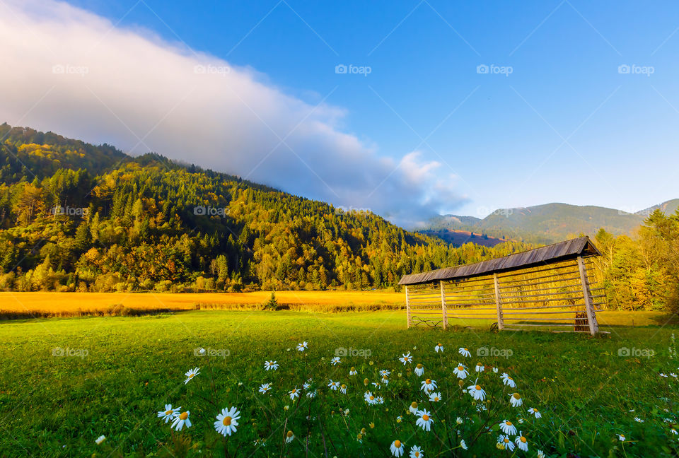 View of beautiful landscape