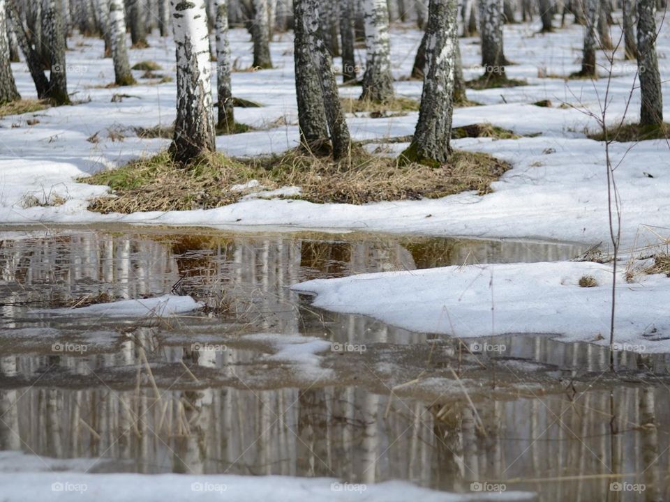 Красоты Кузбасса