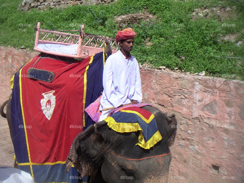 cornak and elephant in Amber India