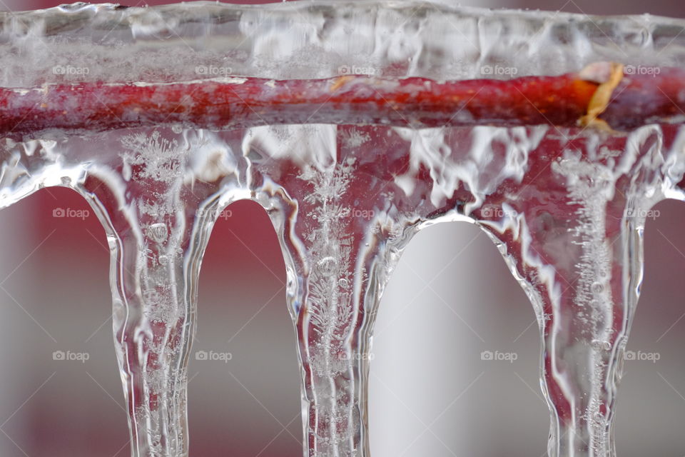 Three icicles .winter season. Outdoor photography. 