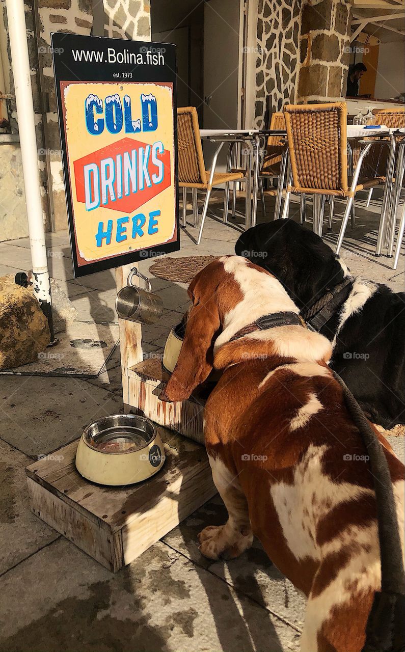 Dog’s Bar drinks 