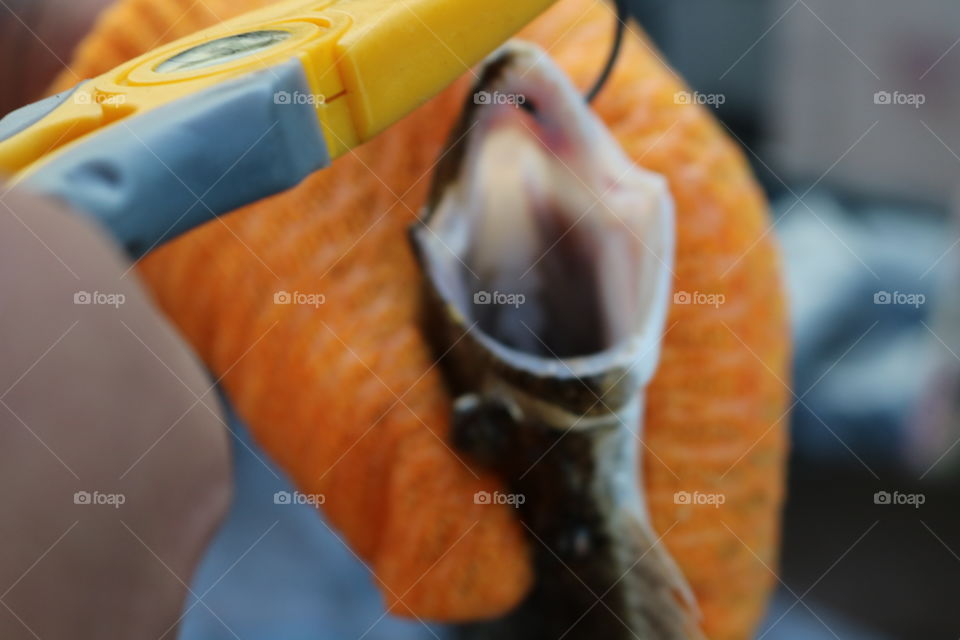 Fishing on the river 