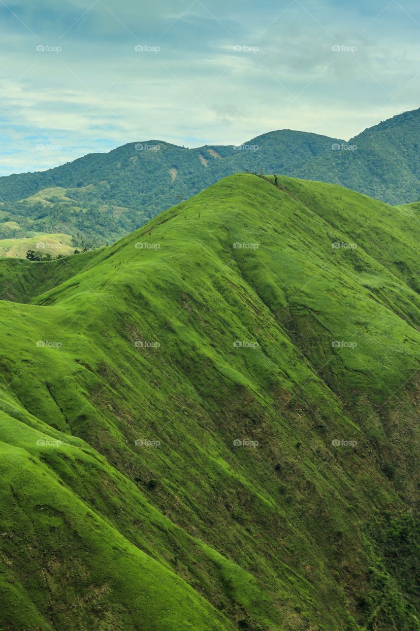 Greenish Mountain Range viewed from a Vantage point