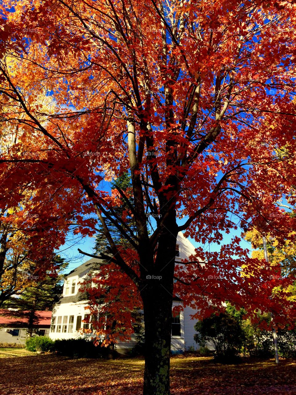 North Conway, NH