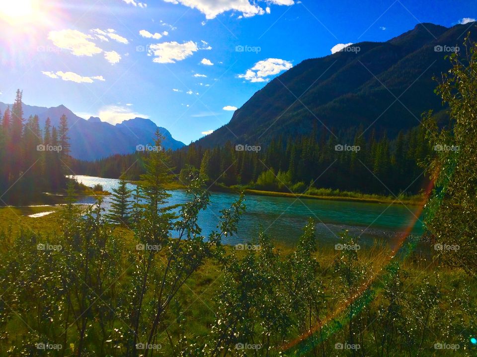 Alberta Mountain View