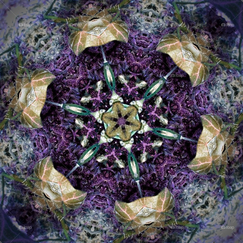 Natural fantasy mandala