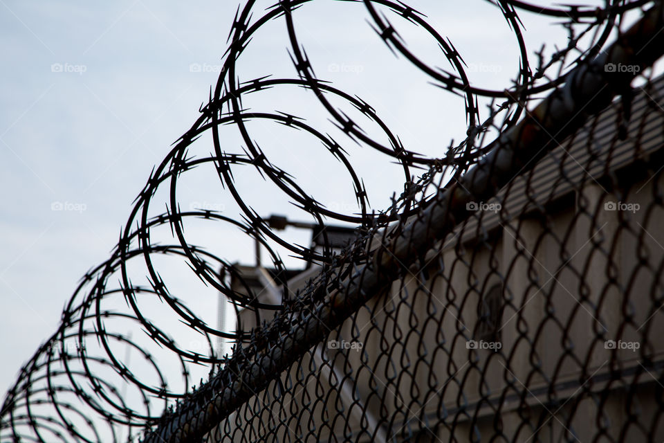 Razor Wire
