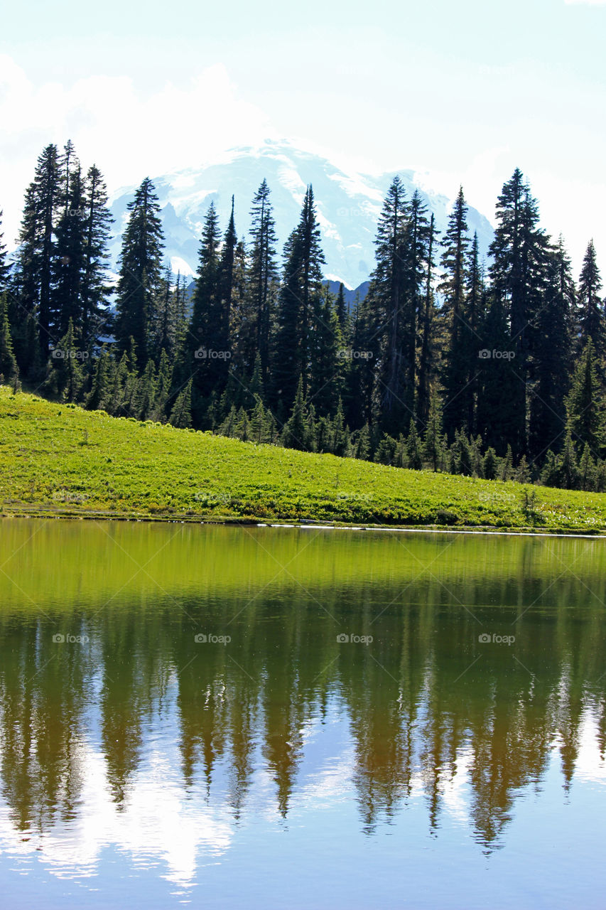 View of Mount Rainier from Tipsoo Lake
