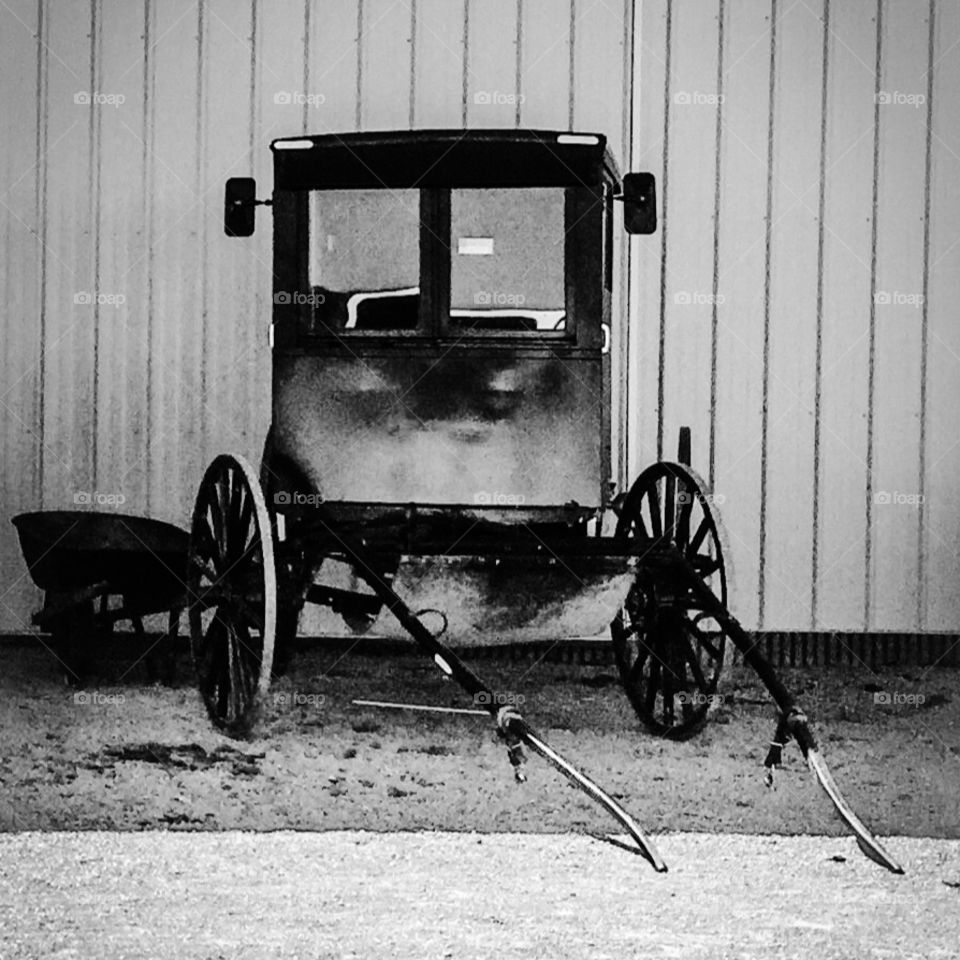 Amish buggy
