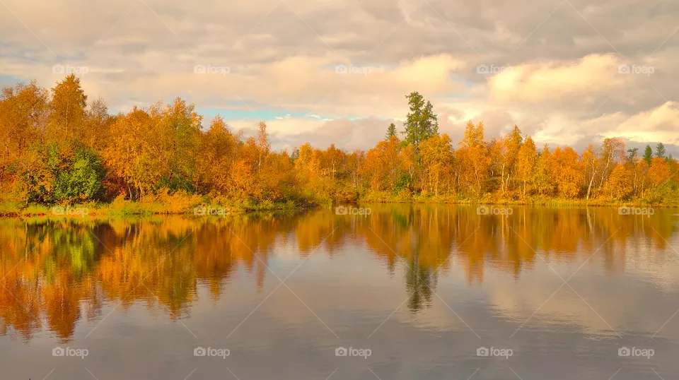 autumn 🎨