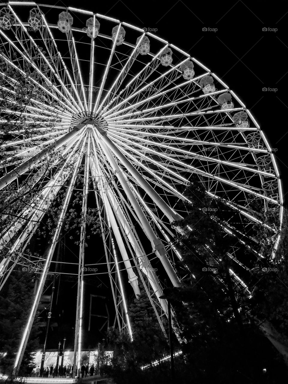ferris wheel