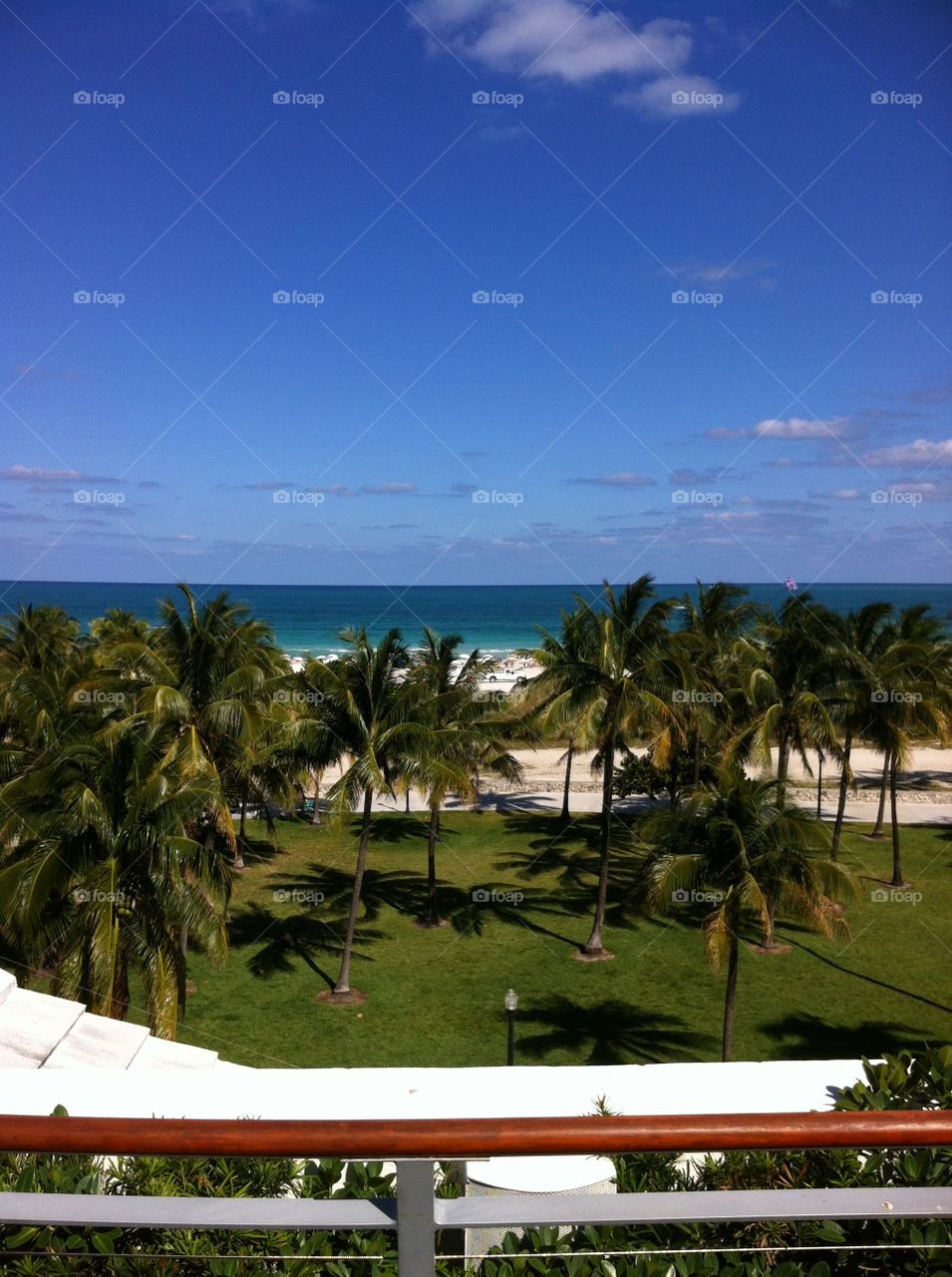 Miami Beach. Taken from top of Betsy Hotel