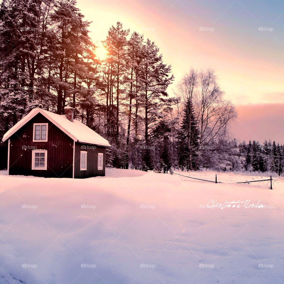 Sunset in winterland