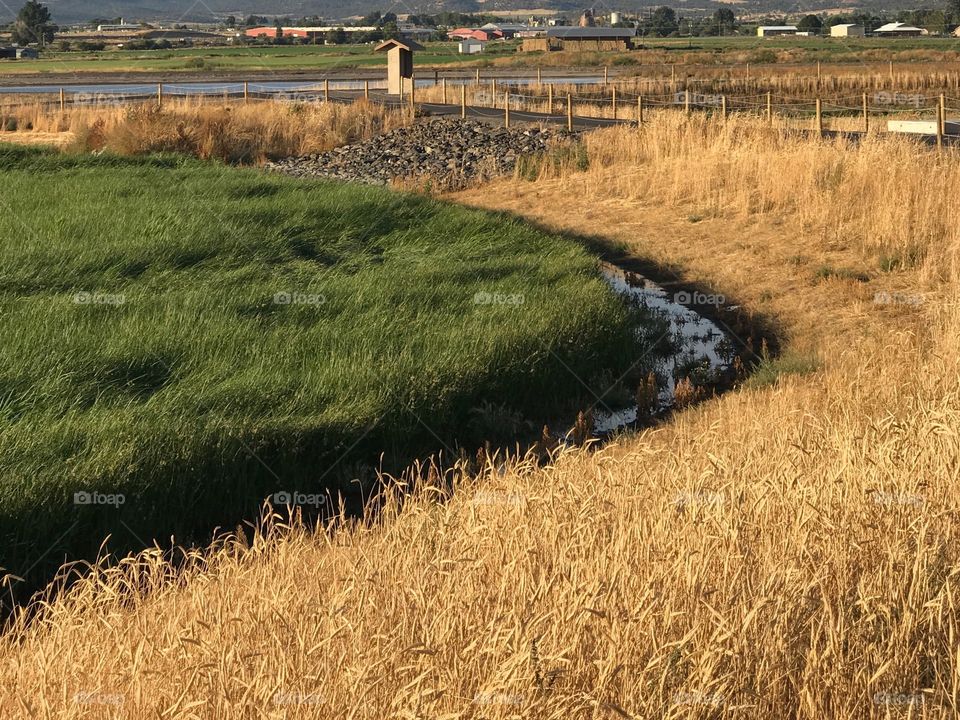 Golden evening light falls upon the Crooked River Wetlands outside of Prineville in in Central Oregon on a pleasant fall day.