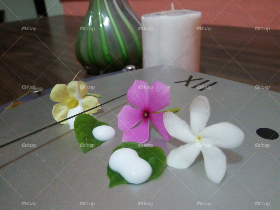 No Person, Flower, Still Life, Interior Design, Treatment