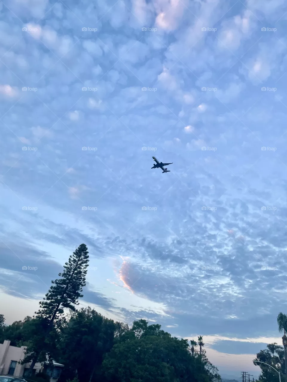 Flying 
