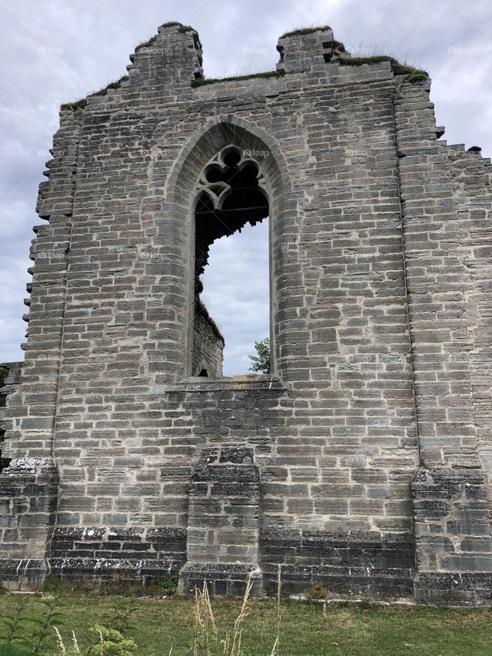 Alvastra monastery ruin