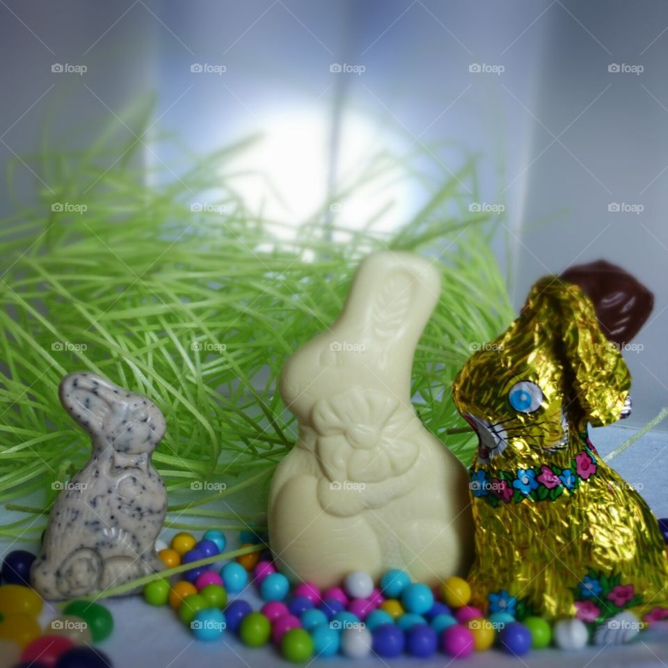 Easter Chocolate bunny family. every year bunnies made of chocolate make their way into our homes