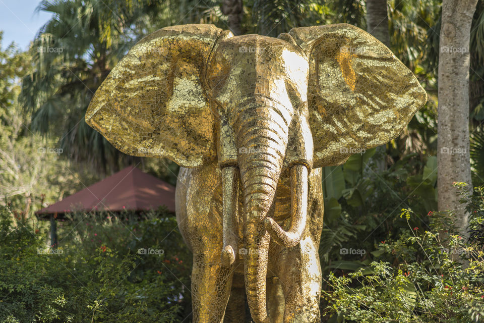 Golden Elephant at Miami Zoo