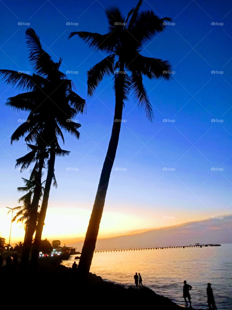 Sunset by a beach road,  with coconut trees