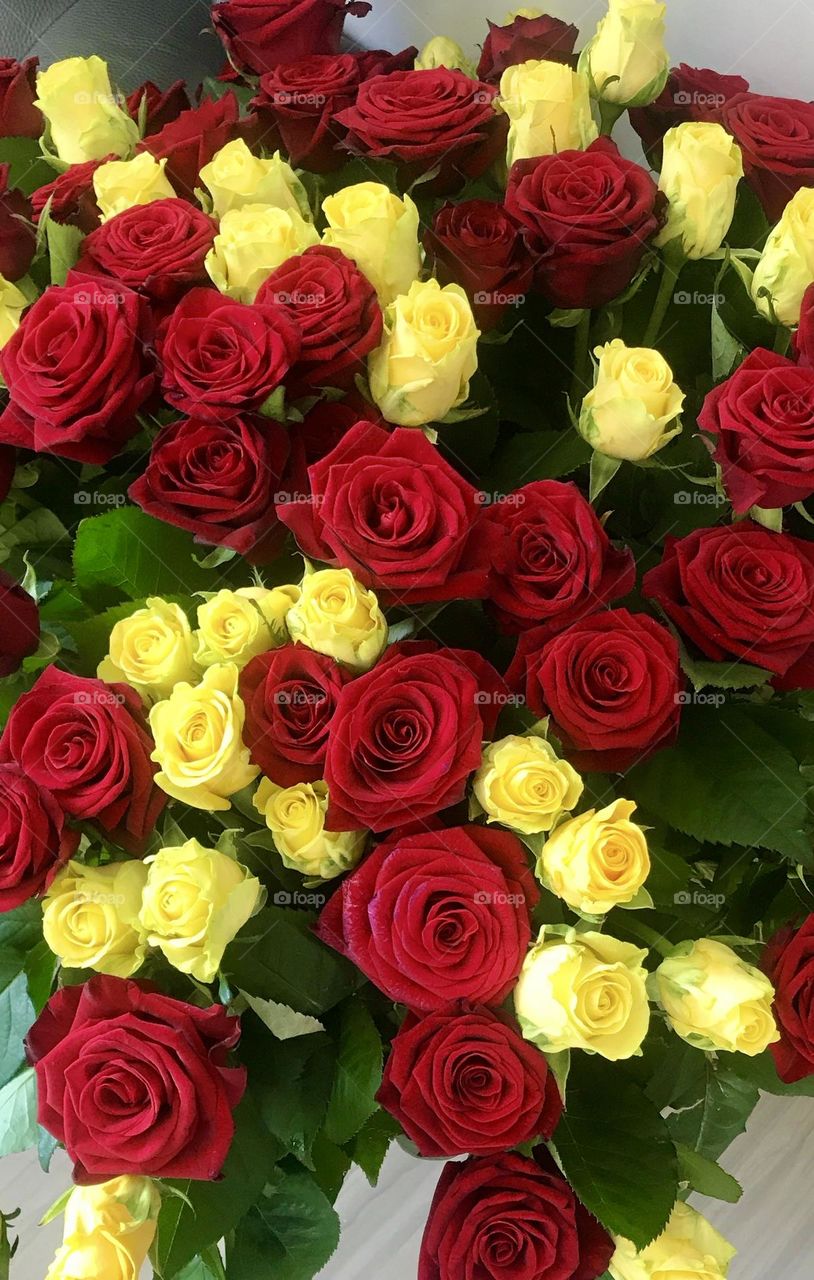 Ярко-желтые розы привлекают внимание своей солнечной яркостью, в то время как глубокий красный цвет придает образу страстности и элегантности.