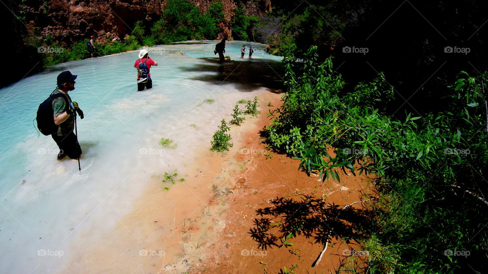 Wading Through