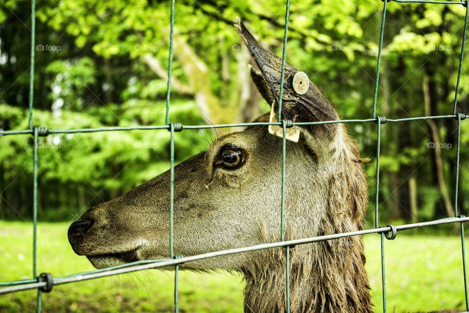 We imprison and classify nature.  We designate places where it can occur, where it won't bother us.  If we win in this battle, we will lose everything