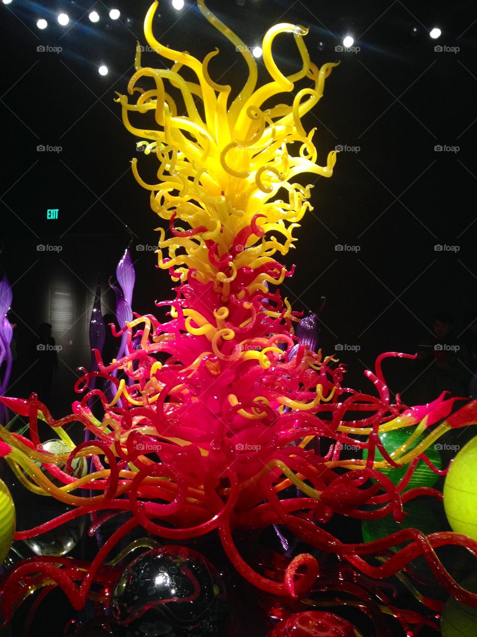 Blown Glass. Seattle 