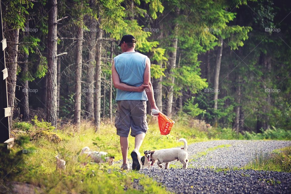 Picking mushrooms