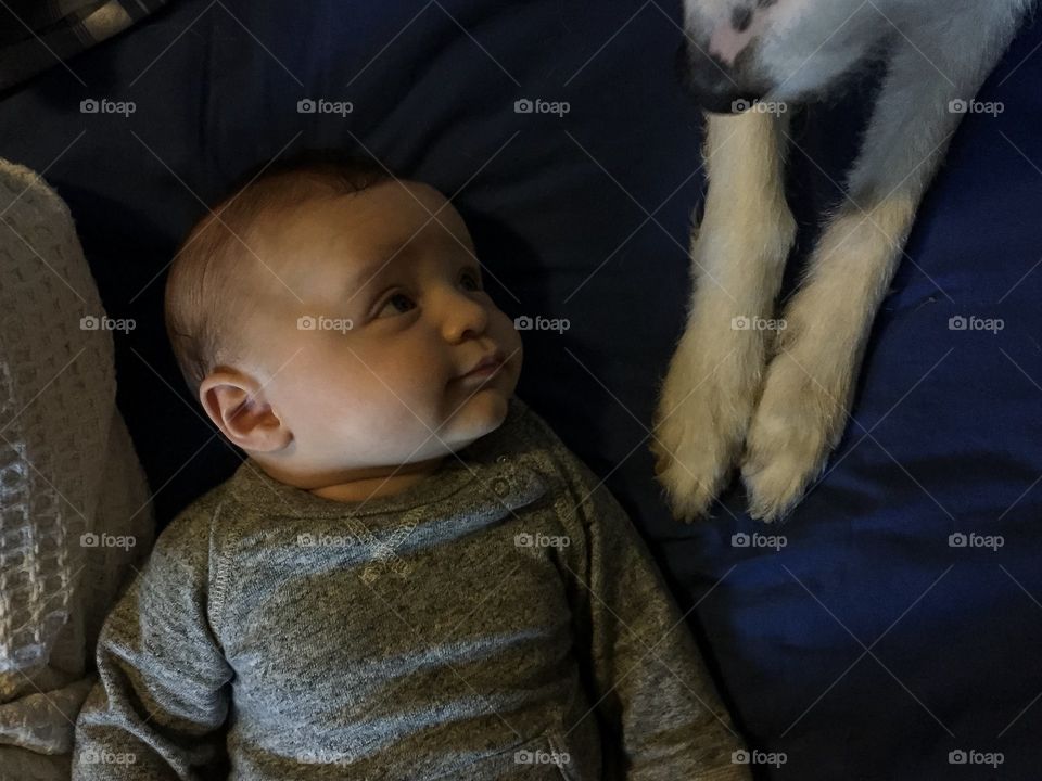 Cute baby boy looking at his dog