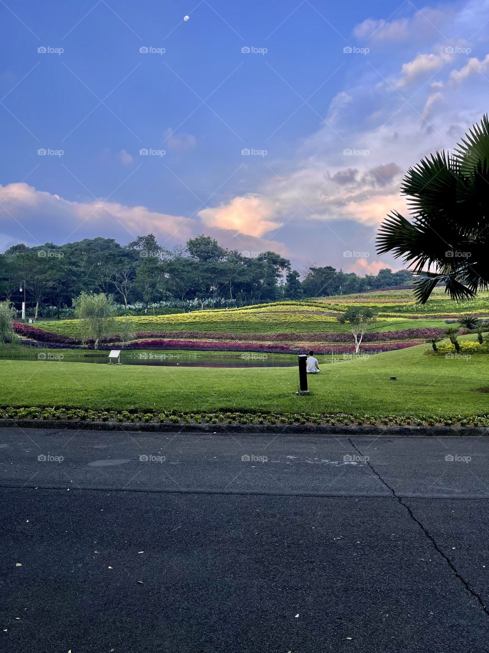 Beautiful city park with great views in golden hour